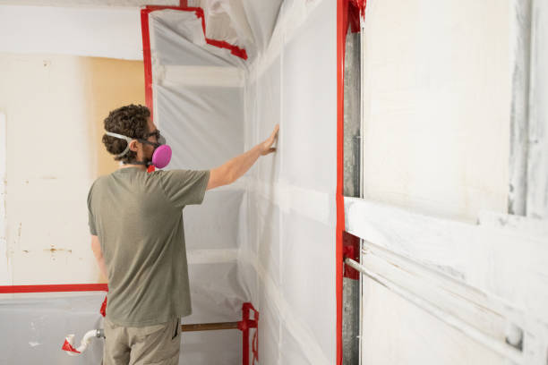 Best Mold Removal for HVAC Installations  in Negaunee, MI