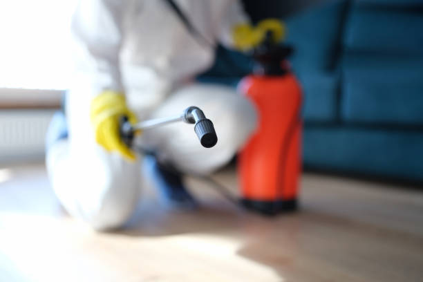 Best Air Quality Testing for Mold Spores  in Negaunee, MI