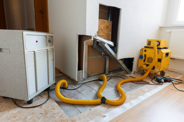 Best Emergency Mold Remediation  in Negaunee, MI