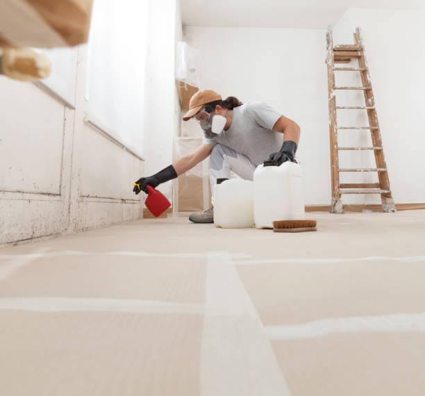Best Comprehensive Air Testing for Mold Contaminants  in Negaunee, MI