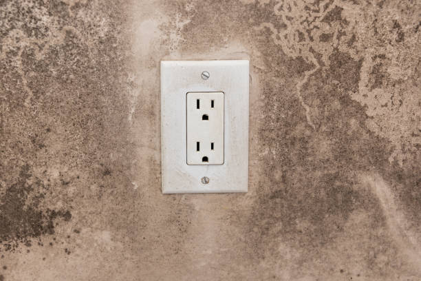 Best Commercial Mold Inspection  in Negaunee, MI